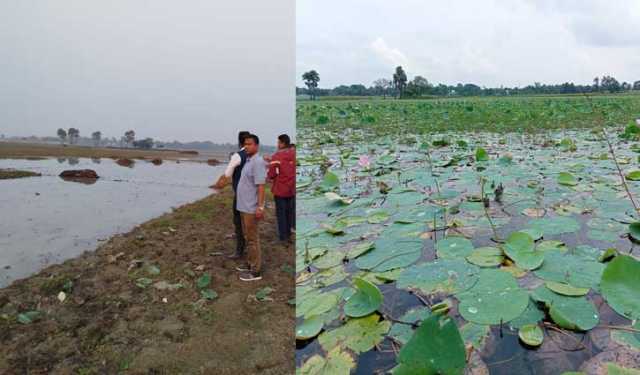 প্রথম ‘জলাভূমি নির্ভর প্রাণী অভয়ারণ্য’ রাজশাহীর ২ জলাভূমি