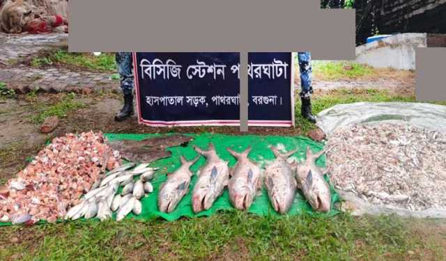 নিষেধাজ্ঞা অমান্য করে মাছ শিকার, ১৩ জেলে আটক