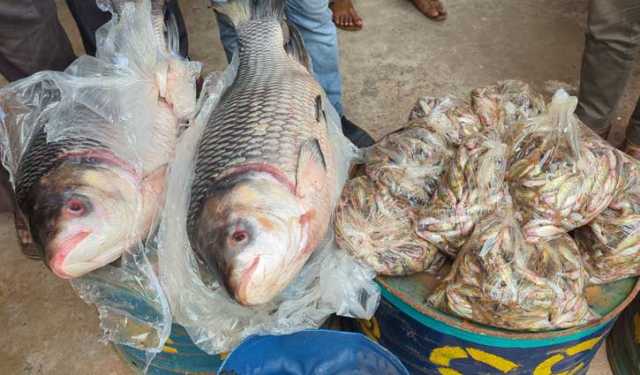 কাপ্তাই হ্রদে শিকার করা ৮০ কেজি মাছ উদ্ধার