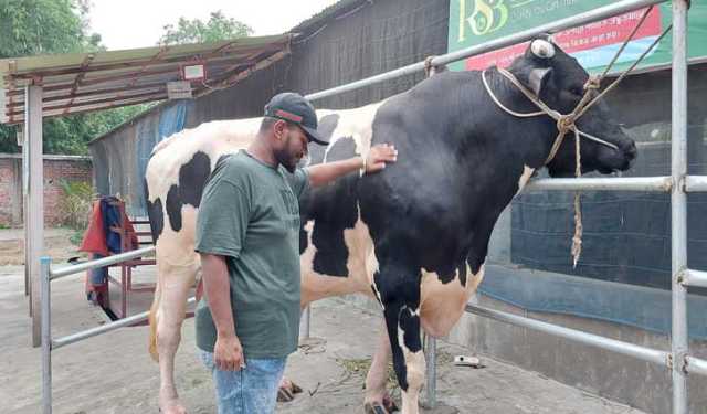 বগুড়ার খামারে লাক্সারি প্র্যাডো