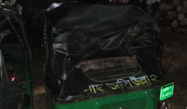 রাঙামাটিতে বন্যহাতির আক্রমণে বৃদ্ধা নিহত 