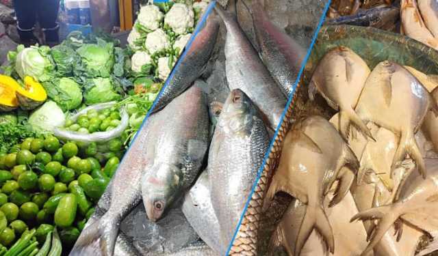 কমেছে মাছ মুরগি ও সবজির দাম