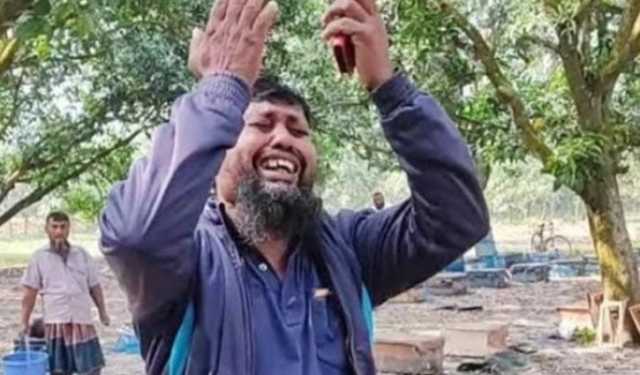 কলারোয়ার বিষ দিয়ে ২০০ বক্স মৌমাছি হত্যা, দিশাহারা চাষি