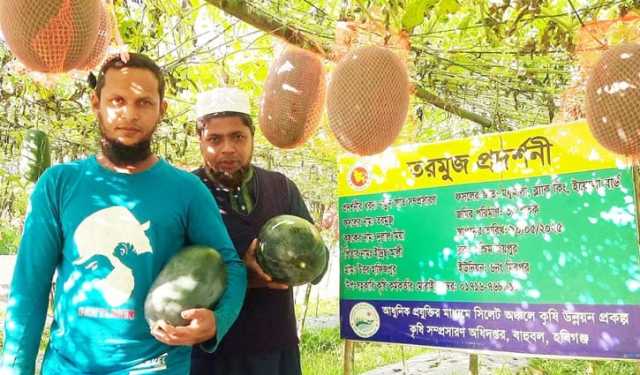 অসময়ের ব্ল্যাক বেবি তরমুজ চাষে চমক দেখালেন দুলাল