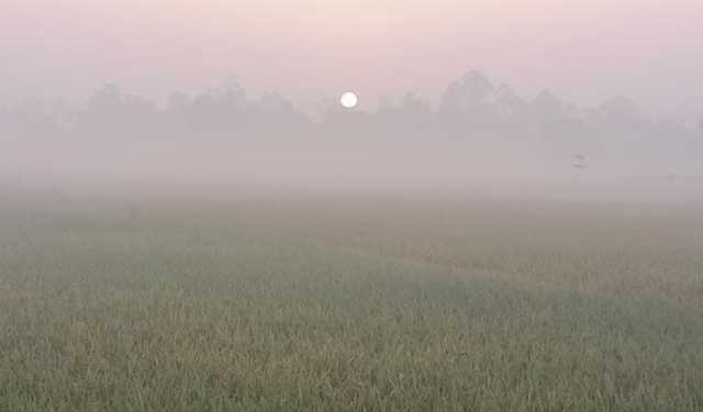 পঞ্চগড়ে তাপমাত্রা নেমেছে ১২ ডিগ্রিতে