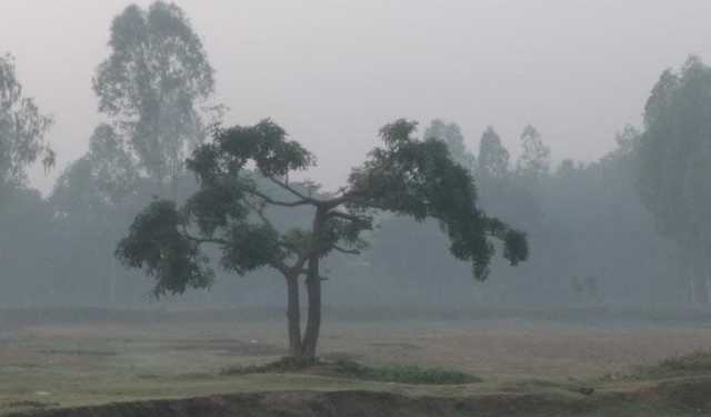 পটুয়াখালীতে শীতের দাপট