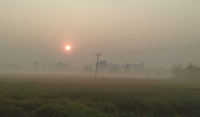 দিনাজপুরে জেঁকে বসেছে শীত
