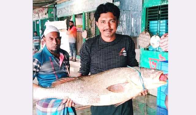 জেলের বড়শিতে ৩৭ কেজির কালো পোয়া, লাখ টাকায় বিক্রি
