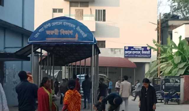 নীলফামারীতে পুকুরে ডুবে ২ শিশুর মৃত্যু