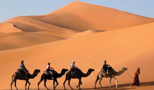 কী কী আছে মরুভূমি সাহারায়?