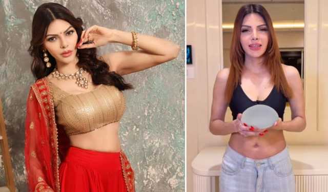 কৃত্রিম ব্রেস্ট অপসারণ: শার্লিন বললেন, প্রজাপতির মতো লাগছে