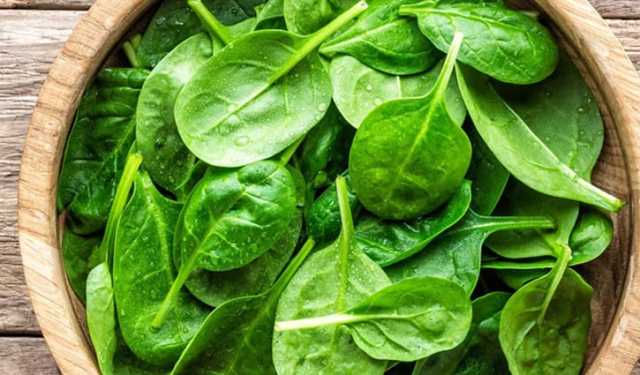 অতিরিক্ত পালং শাক খেলে যেসব ক্ষতি হতে পারে