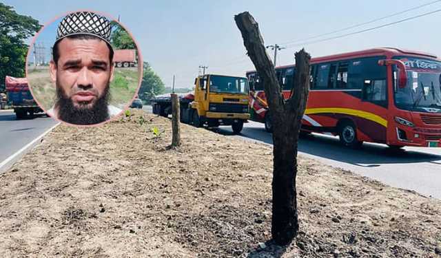 ‘আবর্জনার মতো লাগে’ বলে অর্ধশত বকুলগাছ কাটা সেই ব্যক্তি গ্রেপ্তার