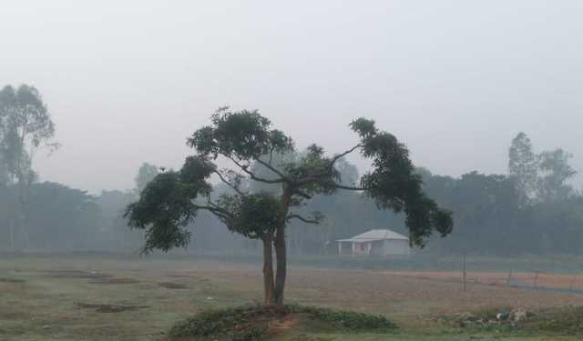 শুক্রবার দিনাজপুরে সর্বনিম্ন তাপমাত্রা ১৫ ডিগ্রি সেলসিয়াস 