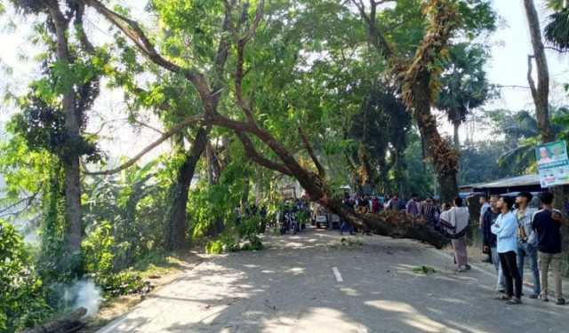 ঢাকা-বরিশাল মহাসড়ক গাছ ফেলে অবরোধ