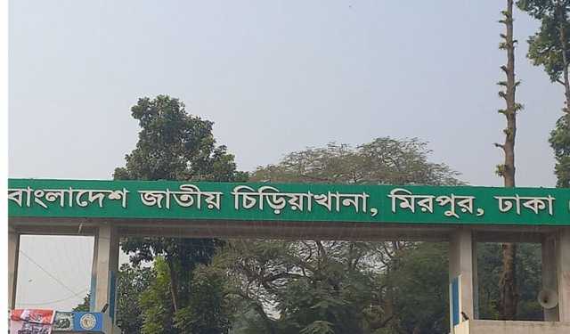 চিড়িয়াখানায় খাঁচার বাইরে সিংহ, নিয়ন্ত্রণের চেষ্টা কর্তৃপক্ষের