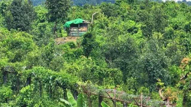 মিয়ানমার সীমান্তে গুলিবিদ্ধ দুই বাংলাদেশি