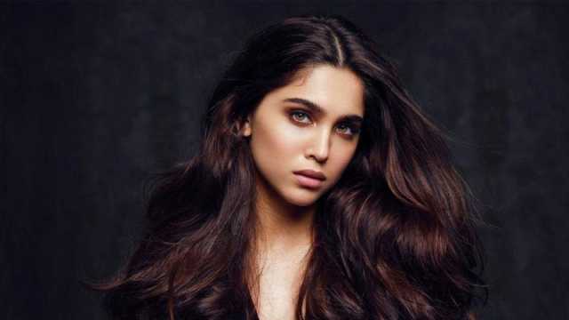 কিয়ারা না করায় 'ডন-থ্রি’ সিনেমায় নায়িকা হচ্ছেন শর্বরী