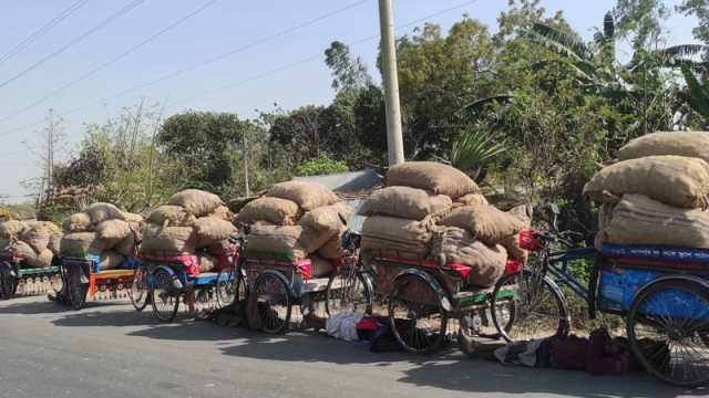 আলু নিয়ে বিপদ কাটছে না কৃষকের