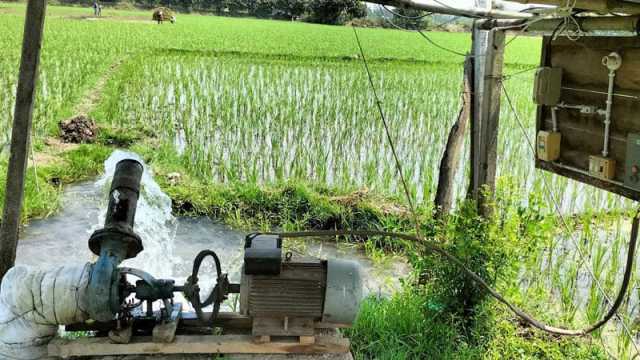 সেচের জন্য বাড়তি টাকা আদায়, চাপে কৃষক
