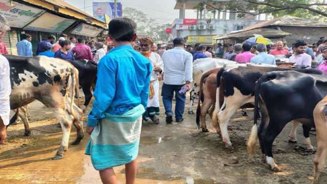 সড়ক দখল করে পশুর হাট ২ মিনিটের রাস্তায় ঘণ্টা পার