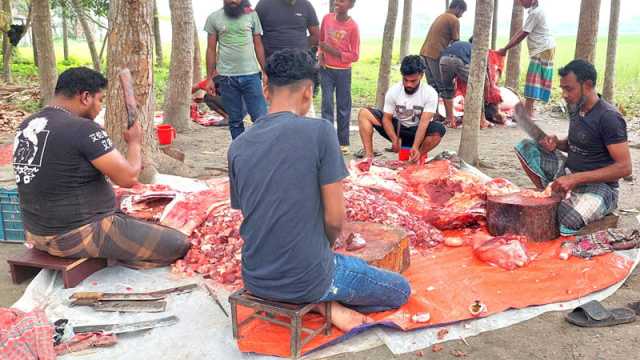 ঈশ্বরদীতে পাড়ায় পাড়ায় মাংস সমিতি