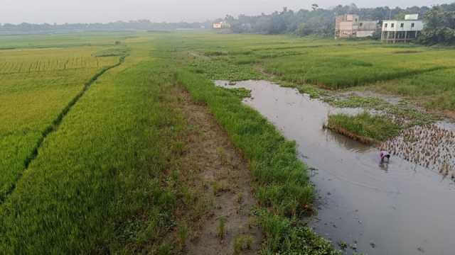 জলাশয় শুকিয়ে পানি সংকট বিপাকে বোরো চাষিরা