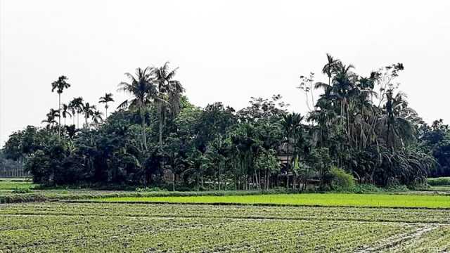 চারজন বসতির সেই গ্রাম বিক্রি হলো ১৫ লাখ টাকায়