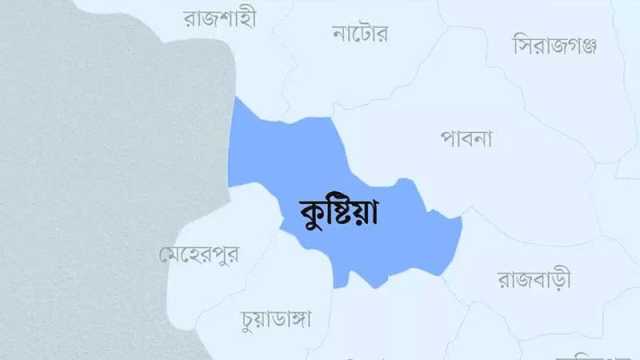 গুলি ছুড়ে, বোমা ফাটিয়ে প্রতিপক্ষের বাড়িতে হামলা