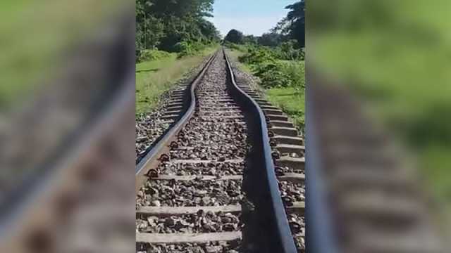 গরমে বেঁকে গেল রেললাইন, ৩০ মিনিট আটকা পাহাড়িকা এক্সপ্রেস