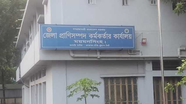 চাহিদার চেয়ে অর্ধলক্ষাধিক কোরবানির পশু বেশি