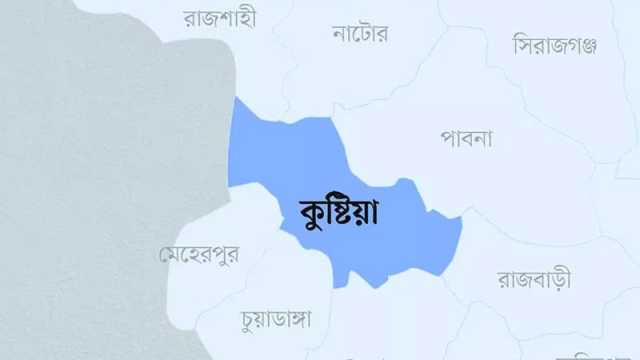 কুষ্টিয়ায় ২২ দিন বয়সী শিশু হত্যা, মাসহ আটক ৪