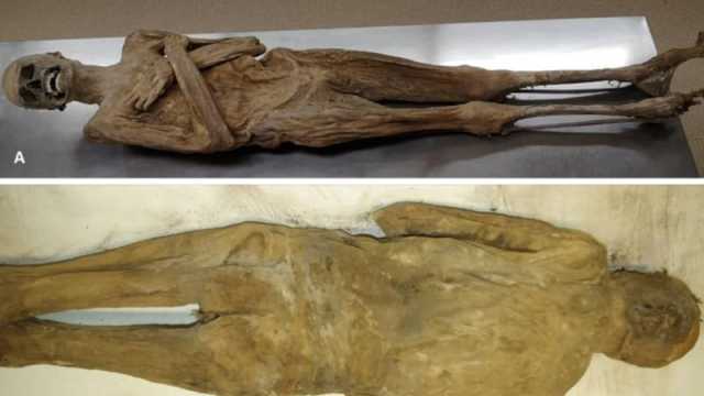 অস্ট্রিয়ার মমি রহস্যের জট খুলেছে