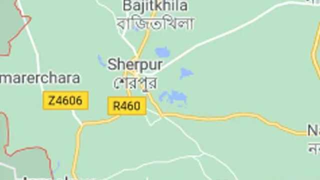সীমান্তে বন্যহাতির বিচরণ বেড়েছে, সতর্কতার পরামর্শ
