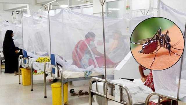 ডেঙ্গুতে আক্রান্ত ও মৃত্যু এপ্রিলে দ্বিগুণ