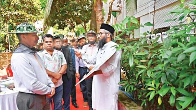 চট্টগ্রামে মাইনুলের বাড়ির আঙিনায় ‘মিনি সুন্দরবন’
