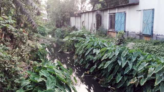 কিমিতে ১৮ কোটি খরচেও মেলেনি সুফল