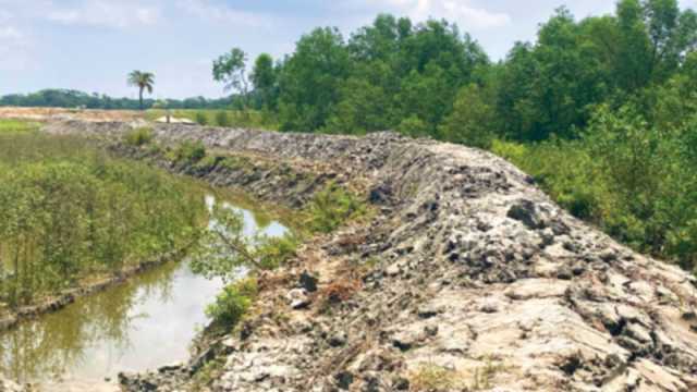 বনাঞ্চল উজাড় করে মাছের ঘের