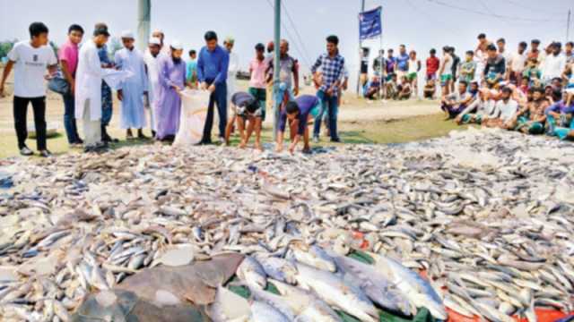৬১৫ কেজি ইলিশ জব্দ, ৯৩ জেলে আটক