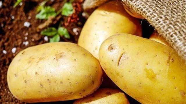 কম সারে আবাদে বাঁচবে ২৫০ কোটি