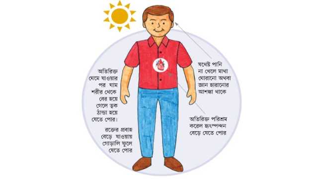 তীব্র গরমে কী করবেন