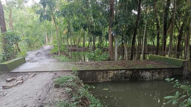 দরকারি সড়কই হয়নি বিলের মধ্যে কালভার্ট