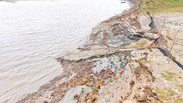 বিরামহীন ভাঙছে বামনী নদী