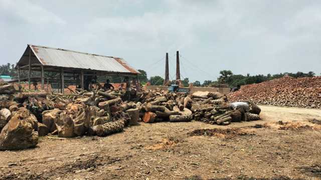 ৩৫ ভাটায় পুড়ছে কাঠ বিপন্ন কৃষি ও জনস্বাস্থ্য