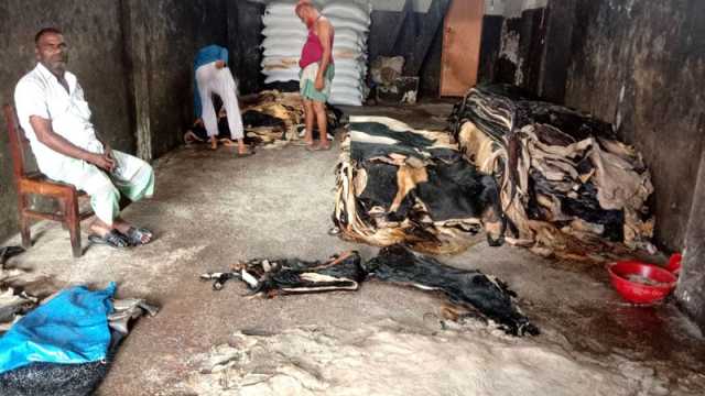 বস্তায় লবণের দাম বেড়েছে ৩০০ সিন্ডিকেটকে দুষছেন ব্যবসায়ী