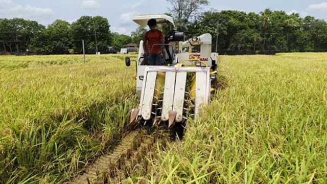 যান্ত্রিক পদ্ধতিতে বেড়েছে ধানের ফলন, খুশি কৃষক