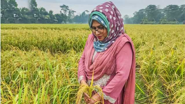 রোগ প্রতিরোধী সুগন্ধিযুক্ত নতুন জাতের ধান উদ্ভাবন