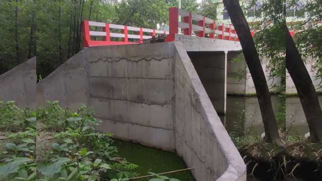 অ্যাপ্রোচে মাটি না দেওয়ায় অকেজো ৪০ লাখের সেতু