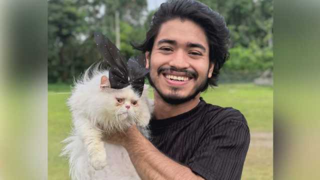 প্রিয় বিড়াল খুঁজে পেতে মাইকিং পুরস্কার ঘোষণা