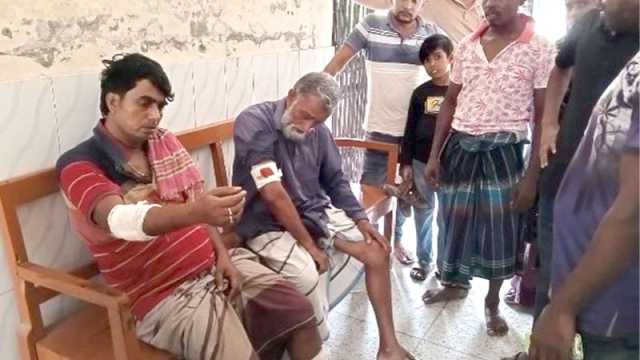 পদ্মানদীর চরে আট কৃষককে পিটিয়ে ২ গরু জবাই করে পিকনিক